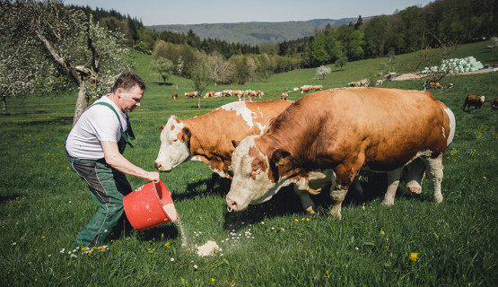 Unsere Tiere