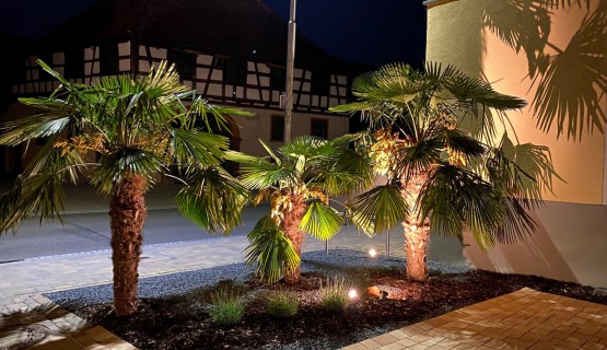 Hausansicht bei Nacht