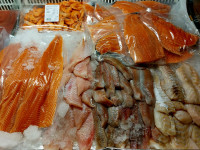 Fangfrischen Fisch