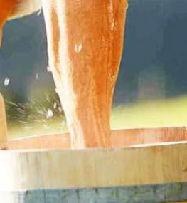 Kur und Wellness in Bad Peterstal Griesbach