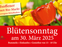 Bl&uuml;tensonntag in Lahr: Verkaufsoffener Sonntag mit Bio-Markt am 30. M&auml;rz