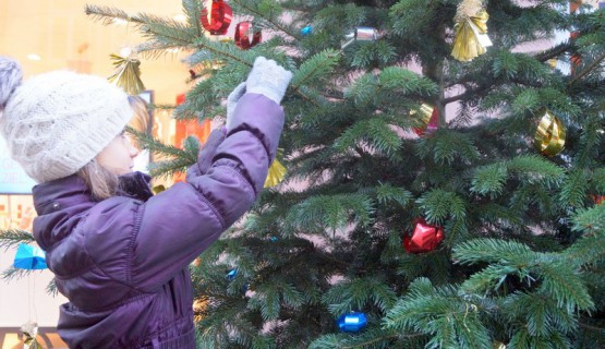 Lichtblicke