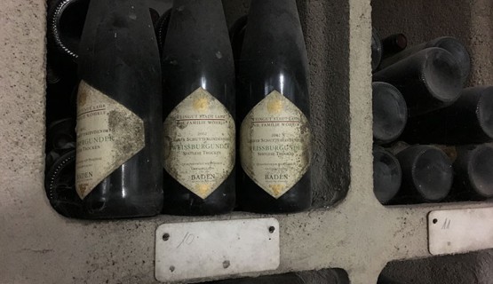 Zu Gast bei Weingut W&ouml;hrle