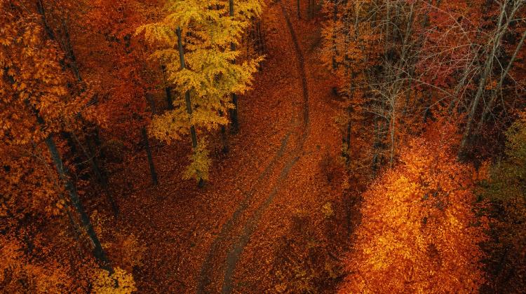 Herbst neu entdecken &ndash; die kybun Kollektion f&uuml;r die dunkle Jahreszeit