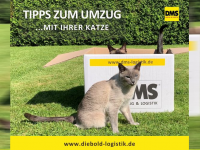 Wenn Umz&uuml;ge und Wohnungswechsel zu stressig werden