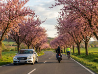 Fr&uuml;hlingsgefahren: Motorradfahrer, Fahrradfahrer und die Theoriefrage, die jeder Fahranf&auml;nger kennen muss