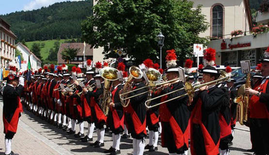 B&uuml;rgermiliz