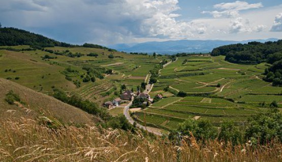 Der Kaiserstuhl