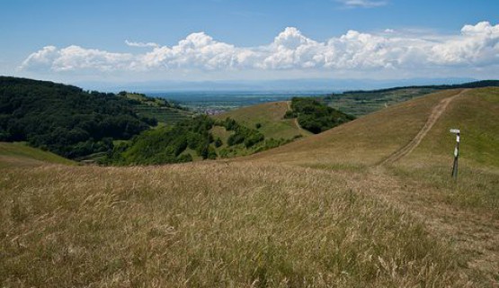 Der Kaiserstuhl