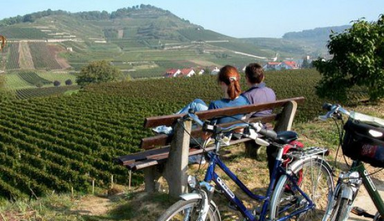 Der Kaiserstuhl