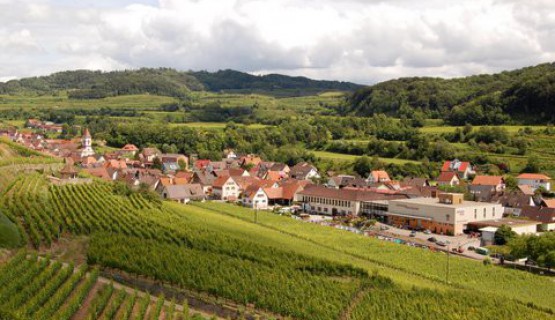Der Kaiserstuhl