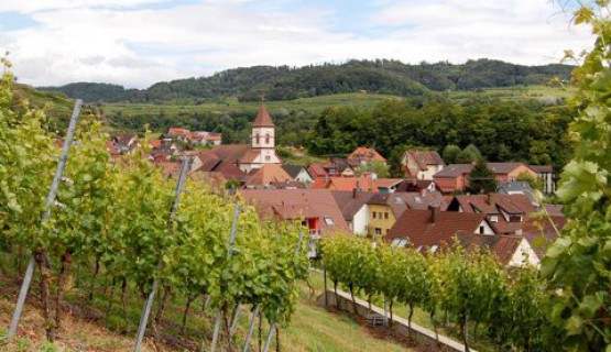 Der Kaiserstuhl