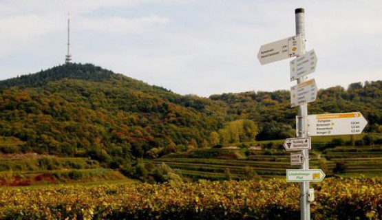 Der Kaiserstuhl