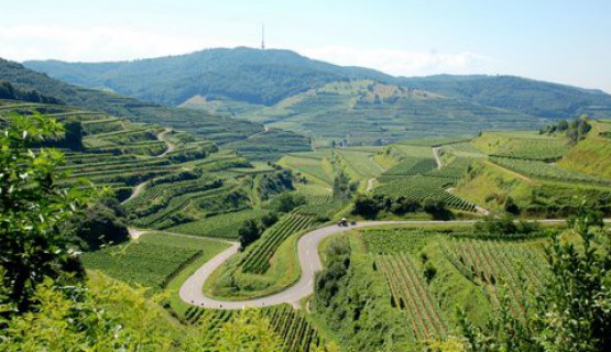 Der Kaiserstuhl