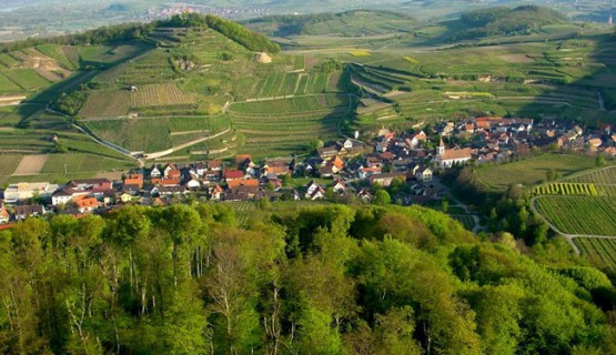 Vogtsburg - das Herz des Kaiserstuhls
