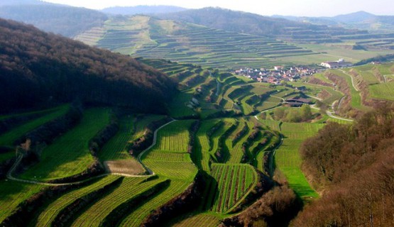 Vogtsburg - das Herz des Kaiserstuhls