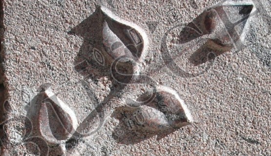 Ornamente
