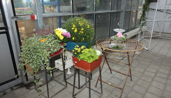 Gastrobereich - S&acute;Blumenh&auml;fele