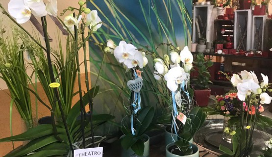 Geschenk zum Muttertag