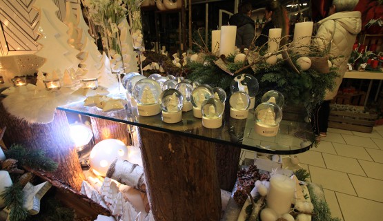 Candle Light Night