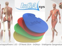 InGasys