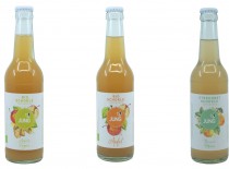 Jung BIO Apfel, Apfel-Ingwer, Birne-Minze Schorle