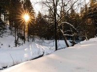 Winter-Wander-Wellness