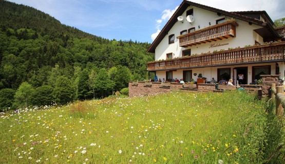 Impressionen