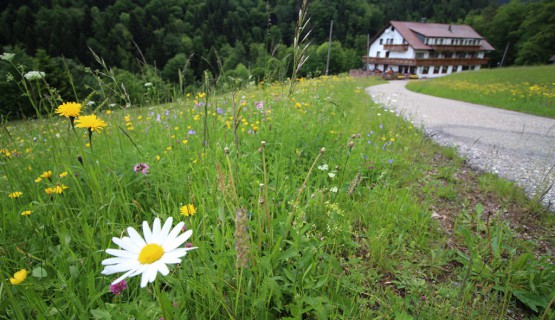 Impressionen