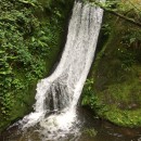 Wandern