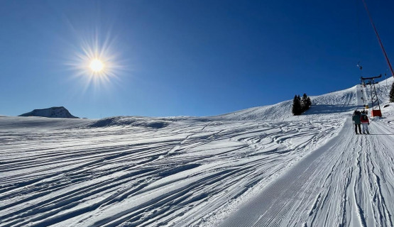 Ski Tagesausflug 2024/25