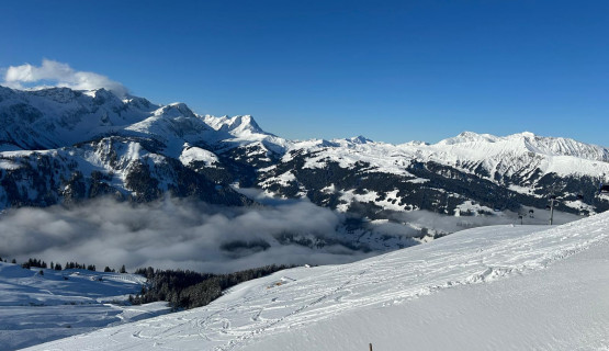 Ski Tagesausflug 2024/25