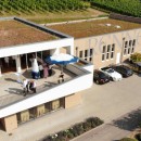 Familien Weingut Renner