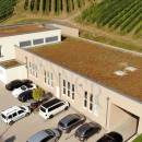 Familien Weingut Renner