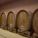 Familien Weingut Renner