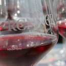 Familien Weingut Renner