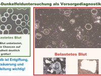 Aktive Gesundheitsprophylaxe in Zeiten des Coronavirus