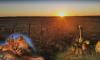 60 Jahre Botswana: Matto Barfuss schenkt dem Land ein Musikvideo