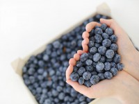 Die 12 wichtigsten Ern&auml;hrungstipps f&uuml;r ein starkes Immmunsystem