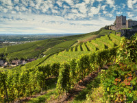 #RegioTipp: Hochsommer im Renchtal &ndash; Entdecken Sie Ihre Heimat neu!