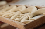 B&auml;ckerei Schaub sucht Auszubildenden zum B&auml;cker (m/w/d)