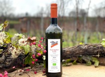 2019 Souvignier Gris, trocken 