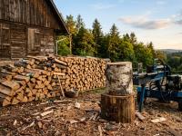 Jetzt spalten, sp&auml;ter heizen: Warum der Sp&auml;tsommer die beste Zeit f&uuml;r Brennholz ist