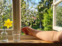 Fr&uuml;hling und Wundheilung: Warum steigende Temperaturen Chancen und Risiken bringen