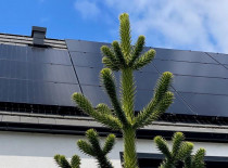 Denim - N-type TOPCon 440 Wp Black Transparant - Bifacial - 35 Jahre Garantie