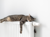 Warm durch den Winter: Heizl&ouml;sungen von G&uuml;nther Energie+Service