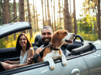 Reisen in der Ortenau: Perfekte Vorbereitung f&uuml;r Ihren Fr&uuml;hlings-Roadtrip
