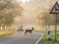 Fr&uuml;hlingsanfang und Zeitumstellung: Was Autofahrer jetzt wissen m&uuml;ssen