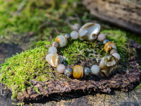 Wohlbefinden kr&auml;ftigen: Ihr pers&ouml;nliches Astroarmband unterst&uuml;tzt K&ouml;rper und Geist