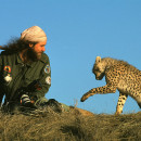 Pambara